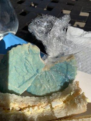 Greenhouse Cafe at Allerton Park