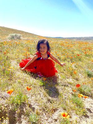 Princess in the wild