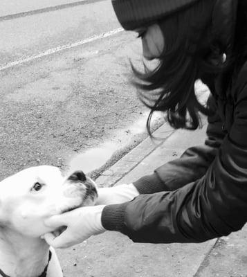 California Dog Walkers