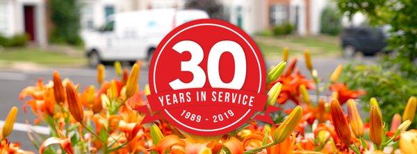 Action Carpet Cleaner