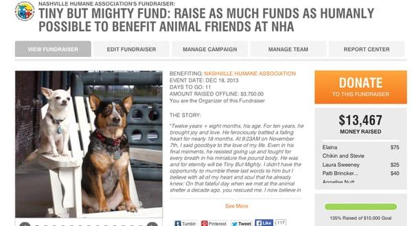 With 11 days left, the Tiny But Mighty Fund has already raised over $13k. The sky is the limit for this little fund that could!