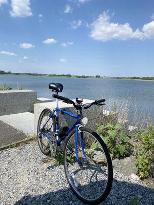 ADT Bike & Skate Shop