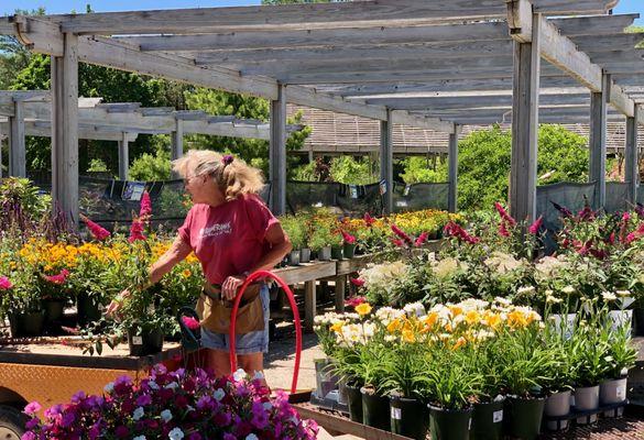 Prospect Hill Garden Center