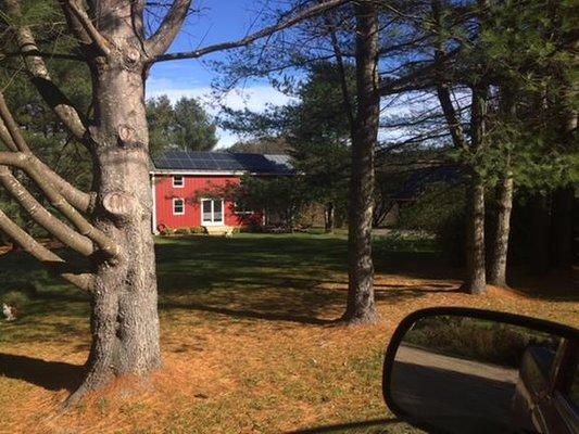 Pro Windshield Repair