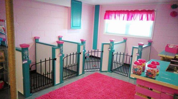 3 B's Pet Care & Boutique