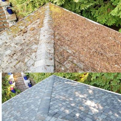 Evergreen Property Services