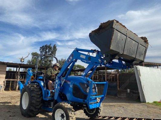 Green Bees Hauling & Junk