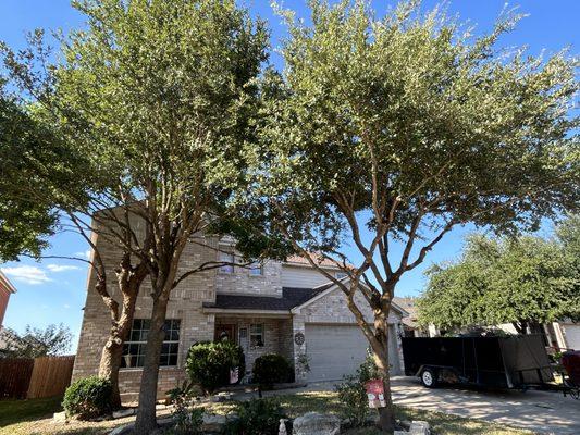 Georgetown Tree Service and Landscaping