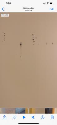 Alliance Property Management