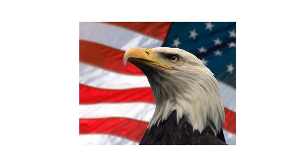 Noble Notary of the Desert