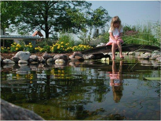 A-1 Landscape Maintenance