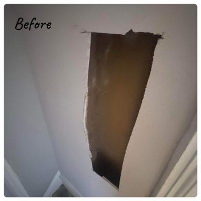 Nelson’s Mechanical