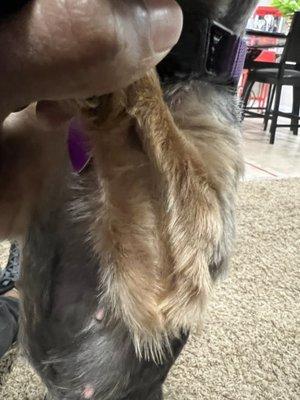 Petsense by Tractor Supply