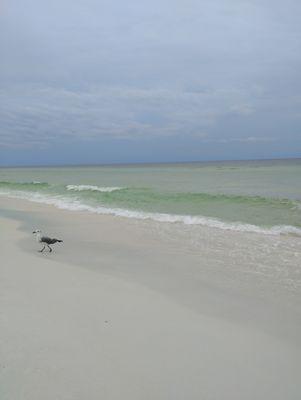 30A Detailing Home & Auto