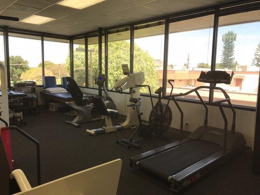 Action Physical Therapy