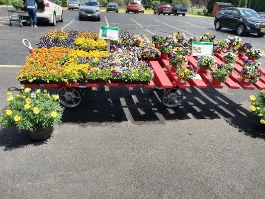 Pleasant Valley Greenhouses & Nursery
