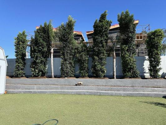 Moon Valley Nurseries