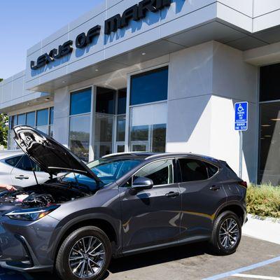 Lexus of Marin