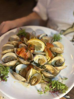 Tagliatelle with clams