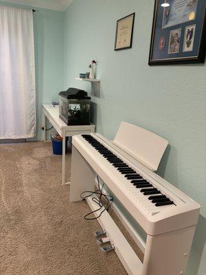 Pictured is the Kawai ES120 snow white keyboard and stand I ordered setup in my home.