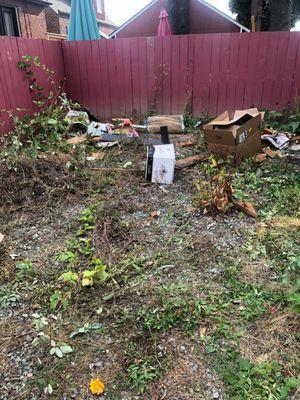 Action Junk Hauling - Des Moines