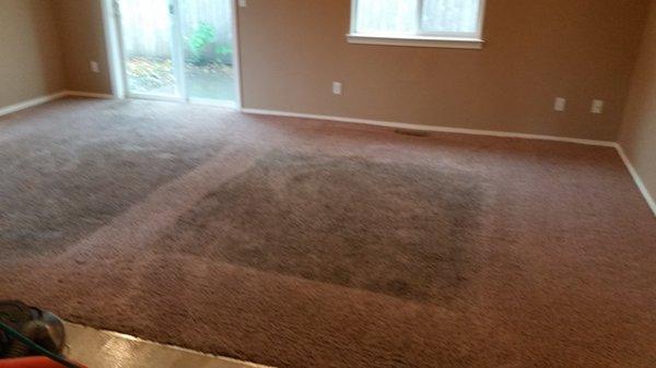 Northwest Carpet Cleaning and Total Floor Care