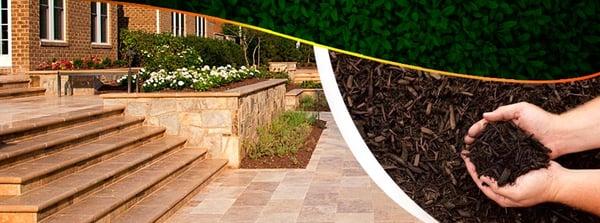 Ltg Lawn Texas Garden