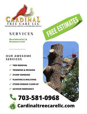 Cardinal Tree Care