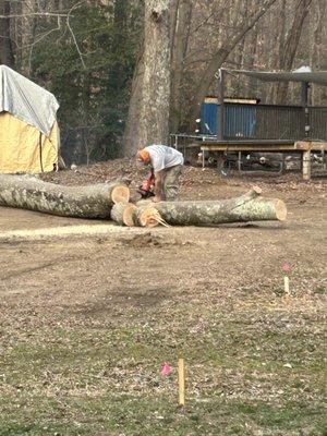 Tommy Finchams Tree Service