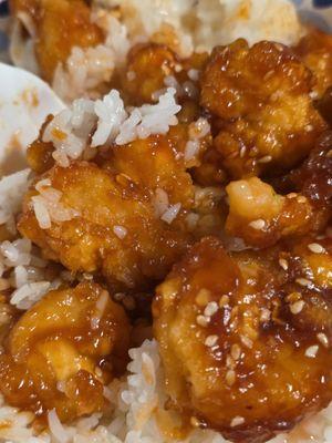 Ditmars Dragon & Phoenix