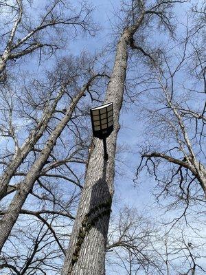 Summerville Parking and Storage