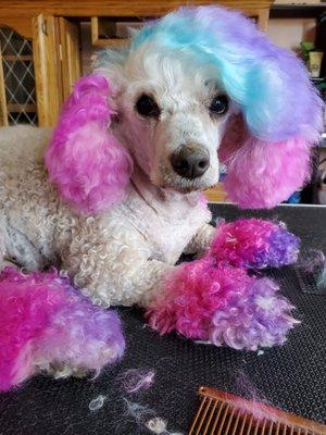 Bee Jeweled Grooming