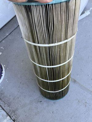 Pink Flamingo Pool Services