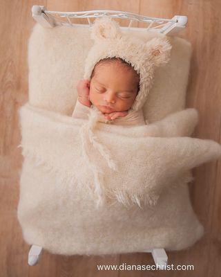 Diana Sechrist Photography