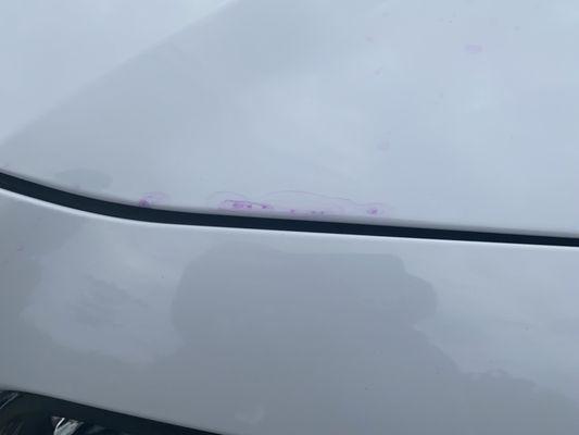 San Diego Gas and Carwash - Carlsbad Shell