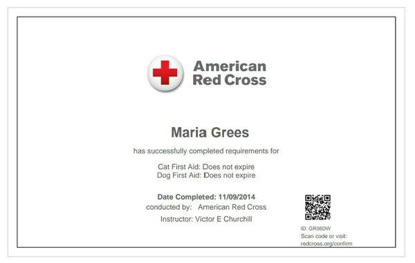 Always Home Pet Care