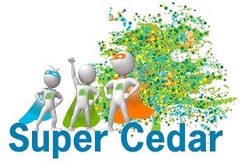 Cedar Risk Management & Insurance Services