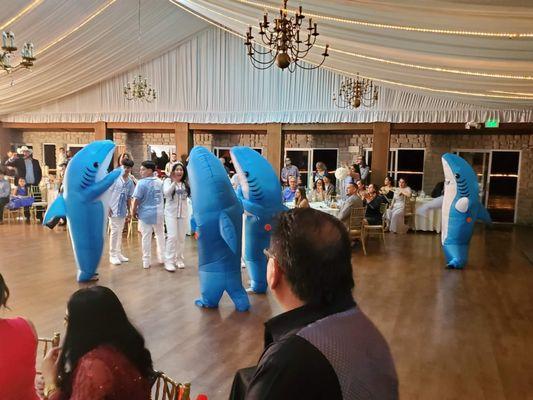 Cannon Cams Productions