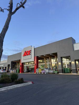 Ace Hardware