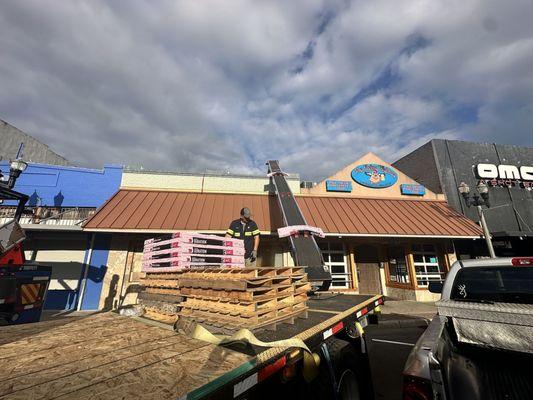 Wolf on Roofs Construction