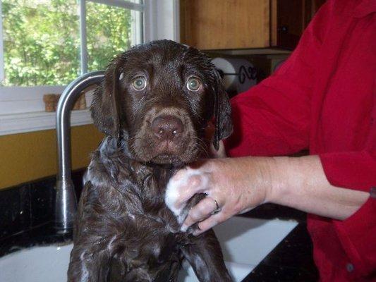 City Appraisal - Long Beach