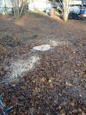 Armando's Tree Service