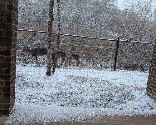 Overlook at Indian Trail