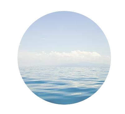 Transcending Boundaries