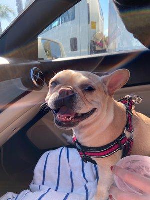 Malabar Country Veterinary Clinic