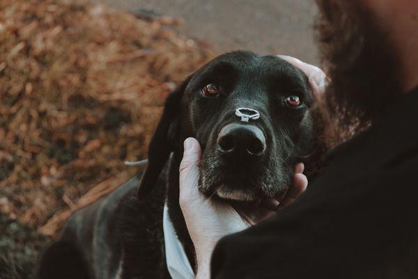 Kaeleigh Danielle Photography