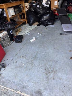 The items the mice destroyed in my unit