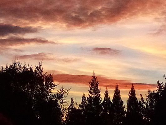 Lake Forest At El Dorado Hills