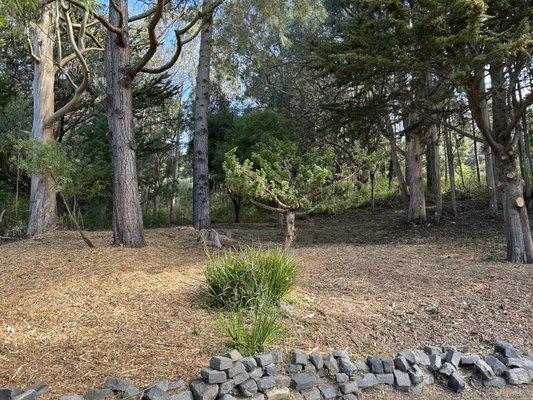 Victors Tree Service