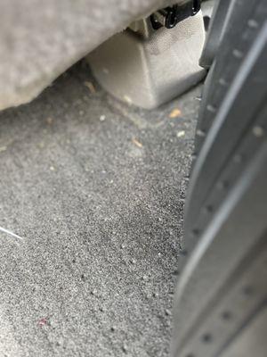 Freeway Express Wash Orange